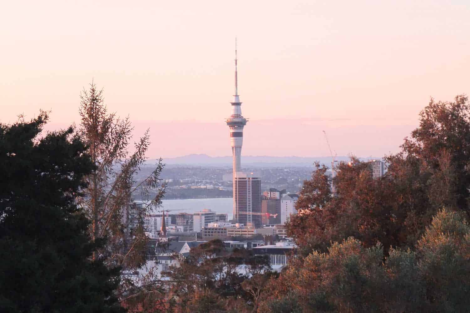 Auckland Skyline