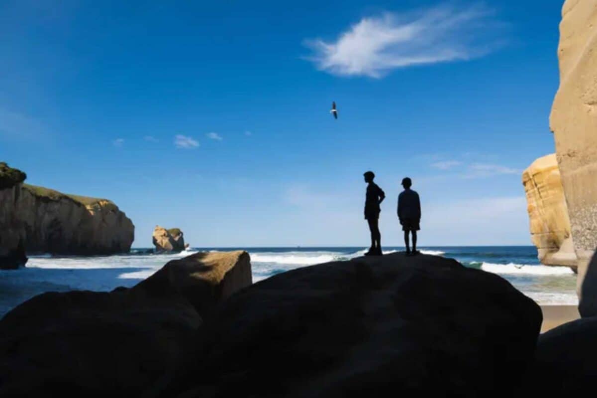 Dunedin Tunnel Beach