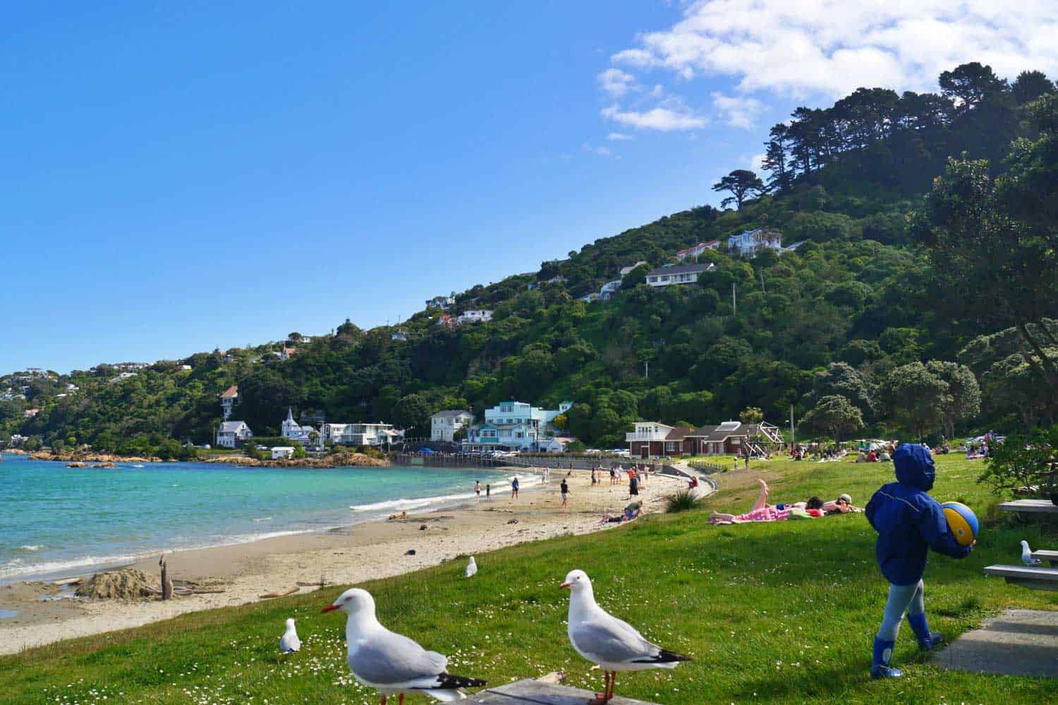 Wellington Beach